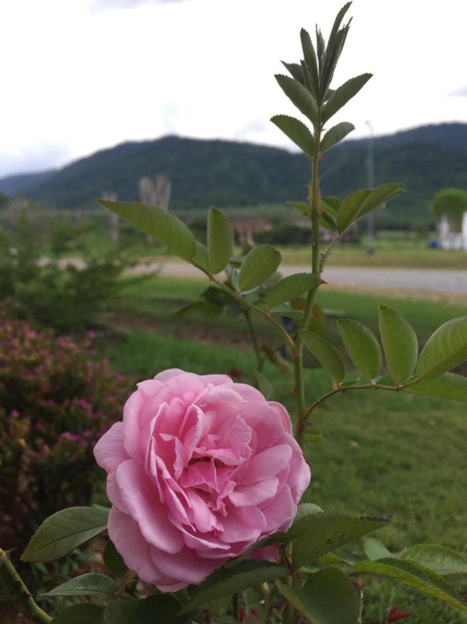 Samerdrow Khao Yai Mu Si Exterior foto